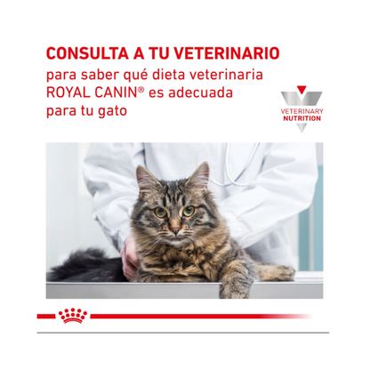 Royal Canin Gastrointestinal Feline Sachet 85 g