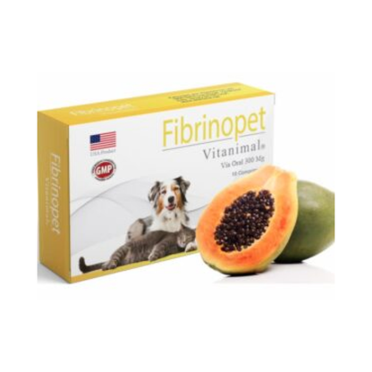 Fibrinopet 300mg 10 Comprimidos