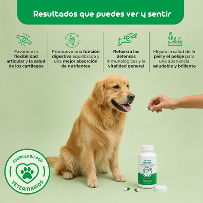 Multi-Vitaminas Perro Flowpet + Boost 60 Cápsulas