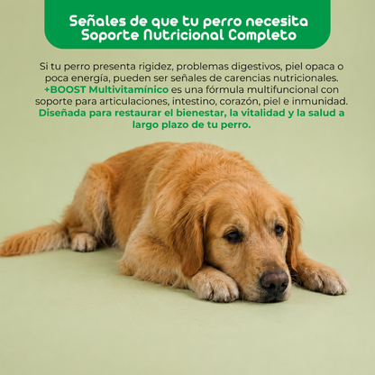 Multi-Vitaminas Perro Flowpet + Boost 60 Cápsulas