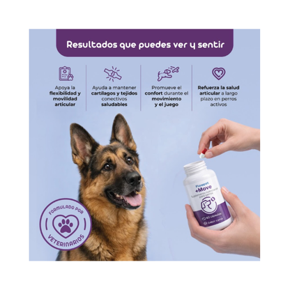 Suplemento Articular Perro Flowpet + Move 60 Capsulas