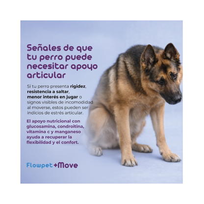 Suplemento Articular Perro Flowpet + Move 60 Capsulas