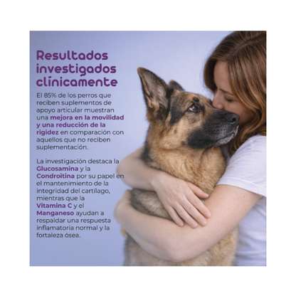 Suplemento Articular Perro Flowpet + Move 60 Capsulas