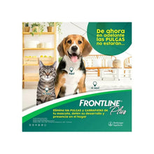 Frontline Plus Gatos 0.5 ml