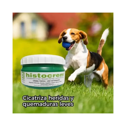 Histocrem Crema 100 g