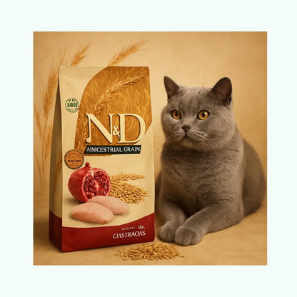 N&D Ancestral Gato Pollo & Granada Castrado 1,5 kg