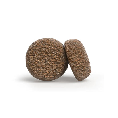 Josera Young Star Perro 12,5 kg
