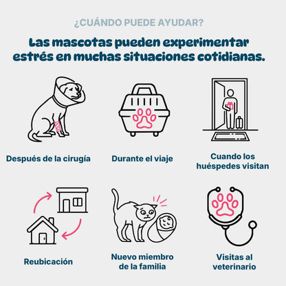 Kruuse Botón CalmDown Perro Postoperatorio