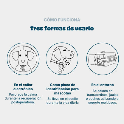 Kruuse Botón CalmDown Perro Postoperatorio