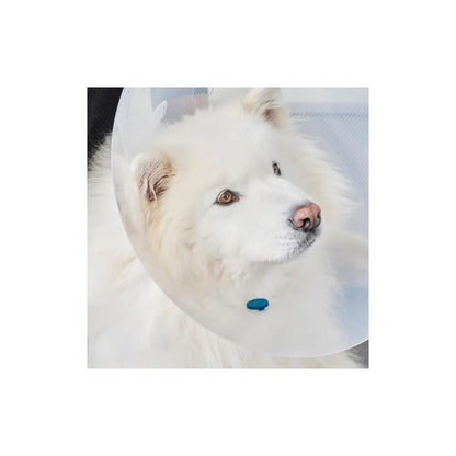 Kruuse Botón CalmDown Perro Postoperatorio