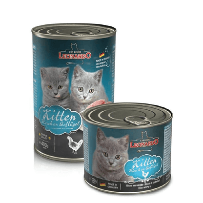Leonardo Latas Quality Selección Kitten
