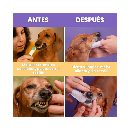 Limpiador de Dientes Petmypet 50 Unidades