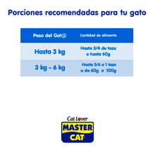 Master Cat Adulto Salmón 8 kg