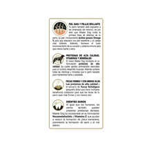 Master Dog Adulto Carne 21 kg