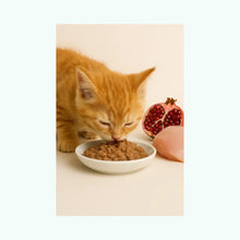 N&D Prime Pollo & Granada Lata Kitten 70 g