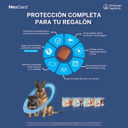 Nexgard Perros 4 - 10 kg