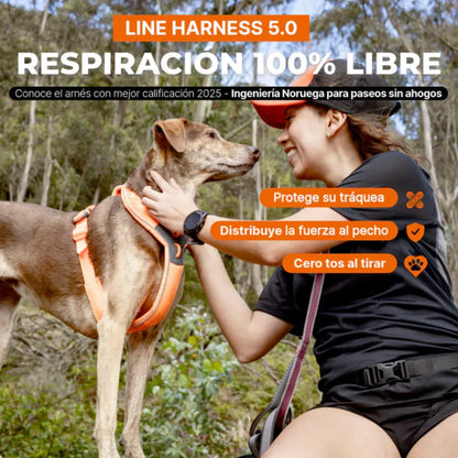 Non-Stop Dogwear Arnés de Línea 5.0 Morado Talla 5