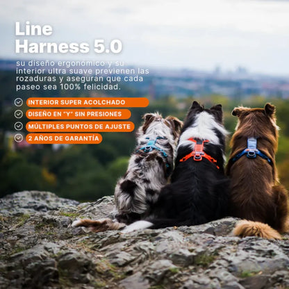 Non-Stop Dogwear Arnés de Línea 5.0 Morado Talla 5