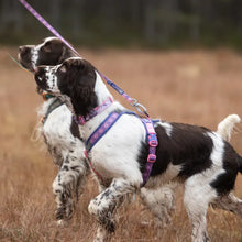Non-Stop Dogwear Arnés de Línea 5.0 Rachel Pohl Edition Morado/Rosado Talla 4