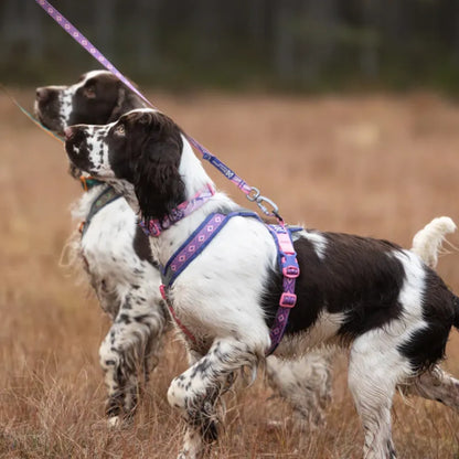 Non-Stop Dogwear Arnés de Línea 5.0 Rachel Pohl Edition Morado/Rosado Talla 4