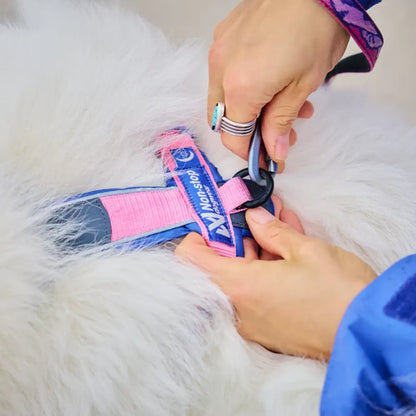 Non-Stop Dogwear Arnés de Línea 5.0 Rachel Pohl Edition Morado/Rosado Talla 4