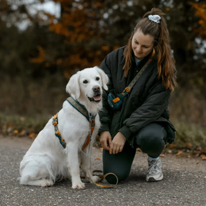 Non-Stop Dogwear Arnés de Línea 5.0 Rachel Pohl Edition Morado/Rosado Talla 4