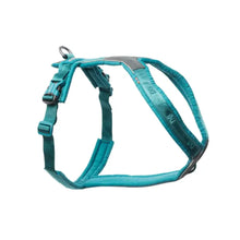 Non-Stop Dogwear Arnés de Línea 5.0 Turquesa Talla 5