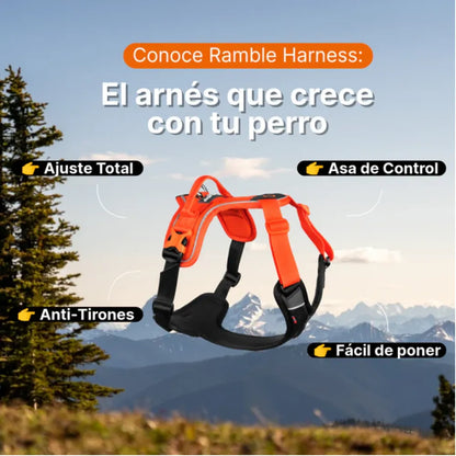 Non-Stop Dogwear Arnés Ramble Negro/Rosado Talla M