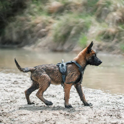 Non-Stop Dogwear Arnés Ramble Negro/Rosado Talla M