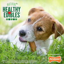 Nylabone Healthy Edibles Carne Asada 3 und 141 g