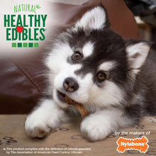Nylabone Healthy Edibles Puppy Wild Pavo 4 und 80 g