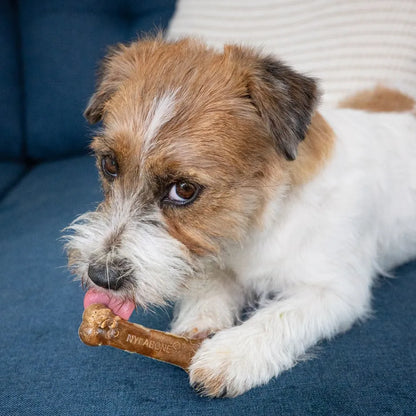 Nylabone Healthy Edibles Carne Asada 2 und 44 g