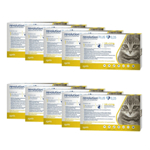 Pack 10 x Revolution Plus Gato 0.25 ml