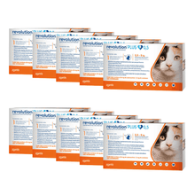 Pack 10 x Revolution Plus Gato 0.5 ml