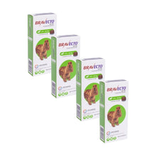 Pack 4x Bravecto Perro 10 - 20 kg (500mg)