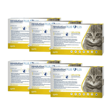 Pack 6 x Revolution Plus Gato 0.25 ml