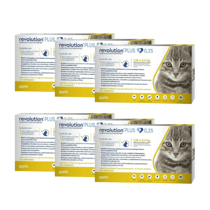 Pack 6 x Revolution Plus Gato 0.25 ml