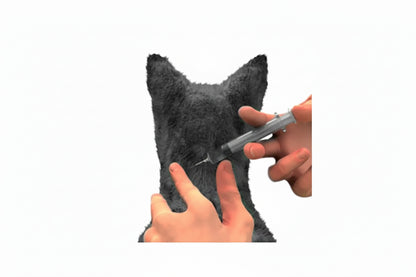 Pack 6x Nexgard Combo Gato 0.8 - 2.5 kg