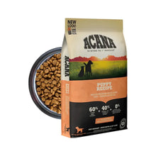 Pack Acana Puppy & Junior 11.3 k + Kong Puppy m