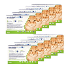 Pack 10 x Revolution Plus Gato 5 - 10 kg (1ml)