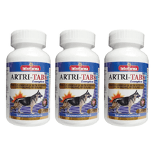 Pack x3 Artri Tabs