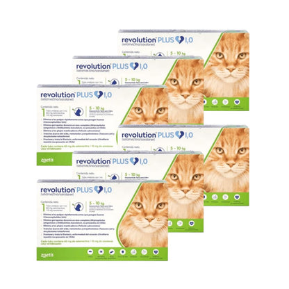 Pack 6 x Revolution Plus Gato 5 - 10 kg (1ml)