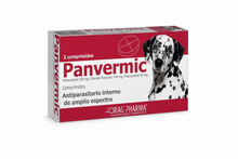 Panvermic Antiparasitario Interno