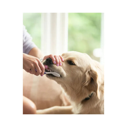 Petsmile Pasta de Dientes para Mascotas sabor pollo asado 119 Gr