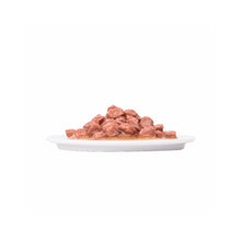 Plaisir Gato Adulto Trucha y Camarones 100 g