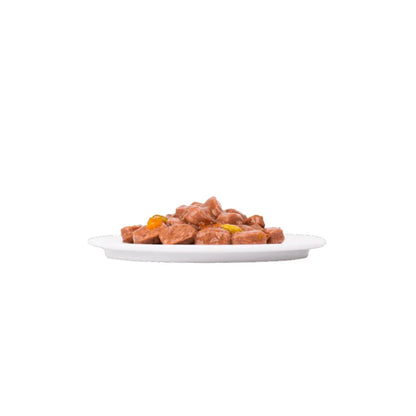 Plaisir Perro Adulto Vacuno y Vegetales 100 g