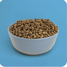 Plenty Perro Adulto Mini Salmón 1,5 kg