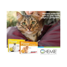 Power Felino 4-8 kg