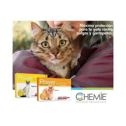 Power Felino 4-8 kg