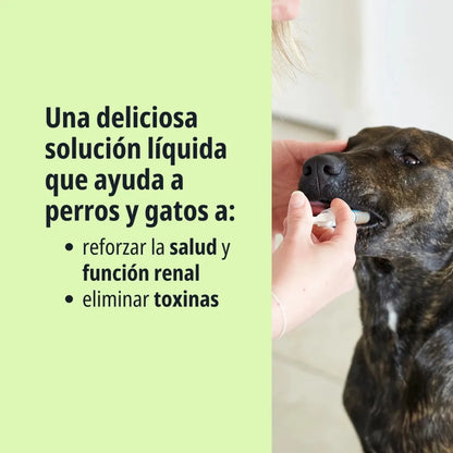Pronefra Suspensión Oral Para Perros y Gatos 180 ml